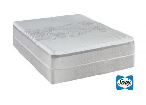 Image for Sealy Trust Cushion Firm Queen & 9" Box Spring Set
